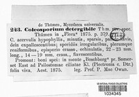 Coleosporium detergibile image